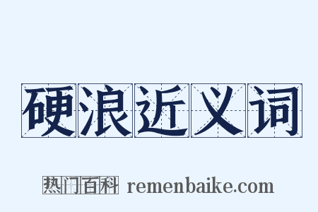 硬浪近义词是什么意思的图片